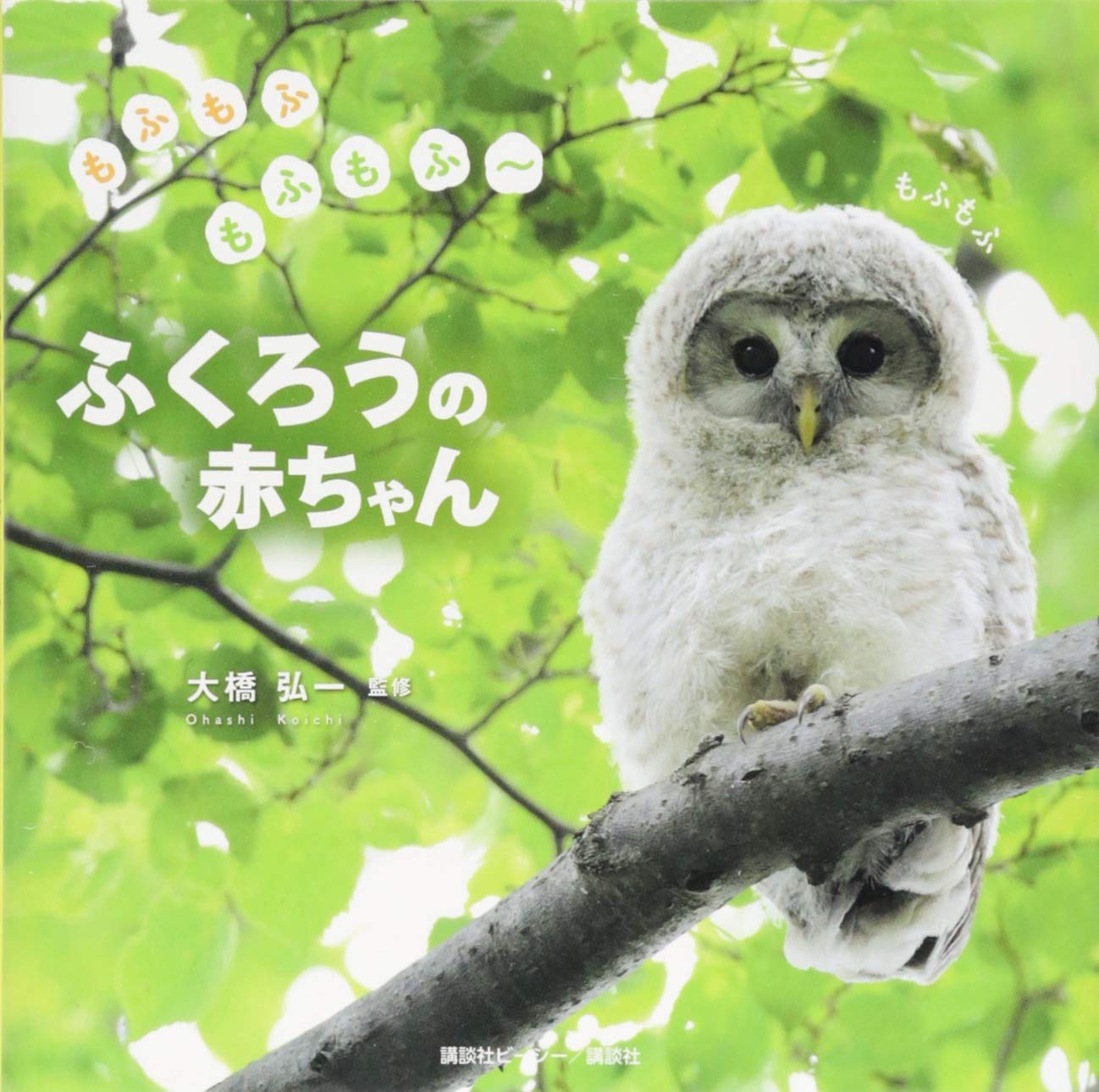 もふもふもふもふ~ ふくろうの赤ちゃん | 大橋 弘一, 講談社ビーシー